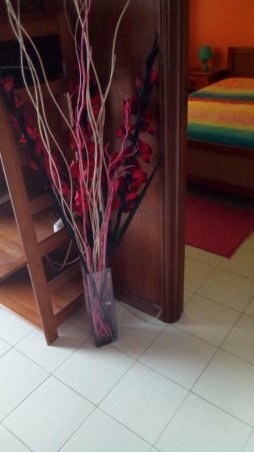 Casa Das Riscas Verdes Gafanha da Encarnacao Zewnętrze zdjęcie